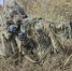 Земляки от всей души поздравляют участника специальной военной операции с днём рождения - Федоровский район